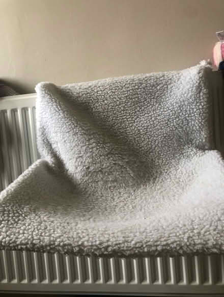 Photo of free Cat radiator bed (Hemel Hempstead) #1