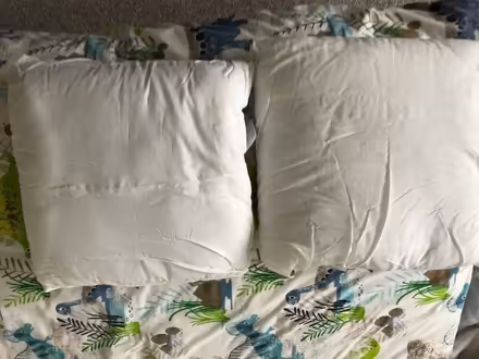 Photo of free 2 cushions 16x 16 (Stone Cross BN24) #1