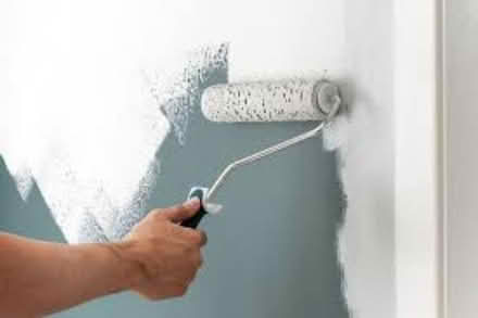 Photo of Wall Paint ( Magnolia or White ) (GL51) #1