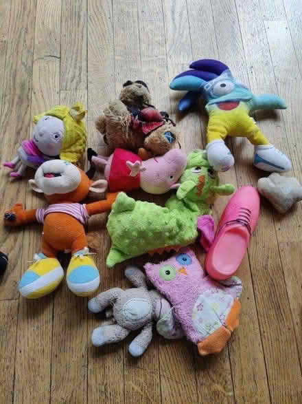 Photo of free Puppy toys and harness (Friern Barnet, N11) #1