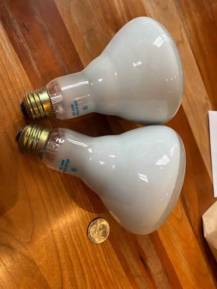 Photo of free 50W incandescent BR-30 flood light (Central Square, Cambridge) #1