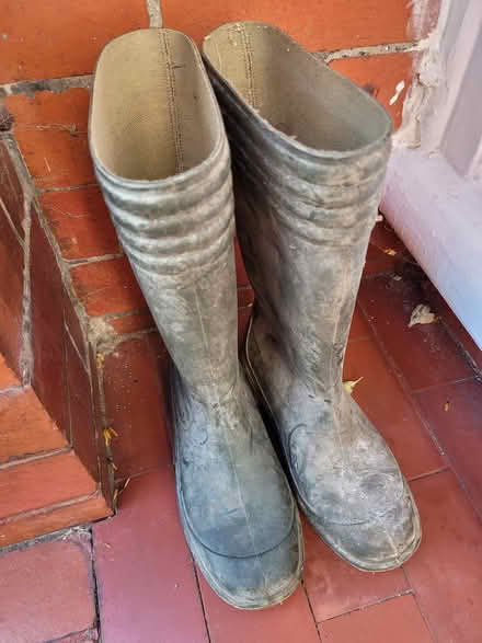 Photo of free Size 3 ladies wellies (M33) #1