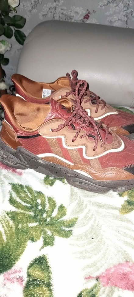 Photo of free Mens trainers (Nr chichester west sussex) #2