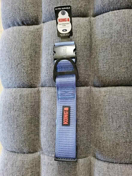 Photo of free Kong collar XL (8 Mile & Dequindre) #1