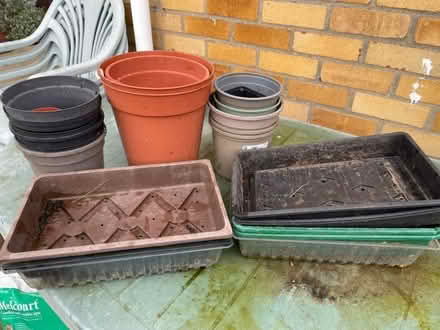 Photo of free Seed trays and plant pots (Witham CM8) #1