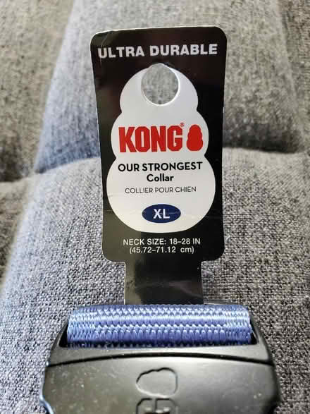 Photo of free Kong collar XL (8 Mile & Dequindre) #2