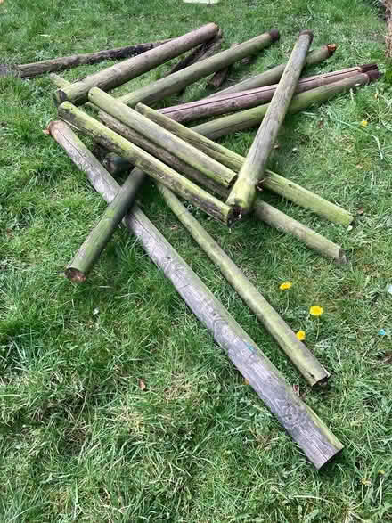Photo of free Posts for trellis (Burnage M19) #1