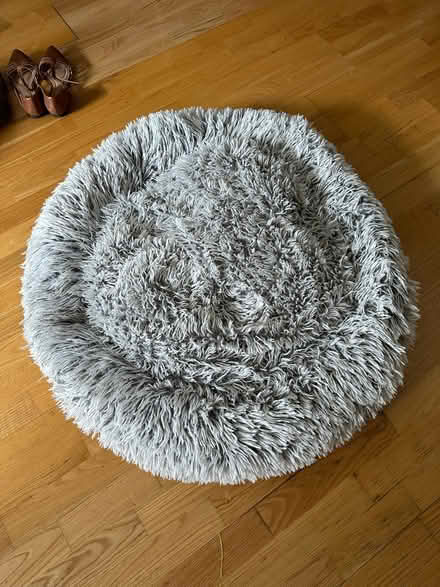 Photo of free Large dog bed (Columbia Heights) #1