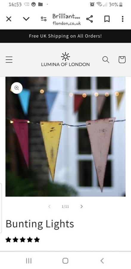 Photo of free solar led bunting (Dukinfield) #2