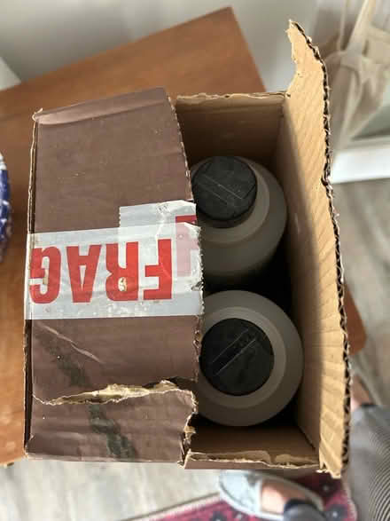 Photo of free Natural flea killer (Streatham Hill) #2