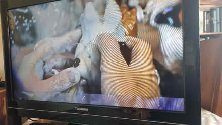 Photo of free 32 inch TV (Faulty) (Willenhall, WV12) #2