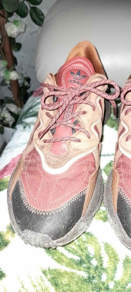 Photo of free Mens trainers (Nr chichester west sussex) #1