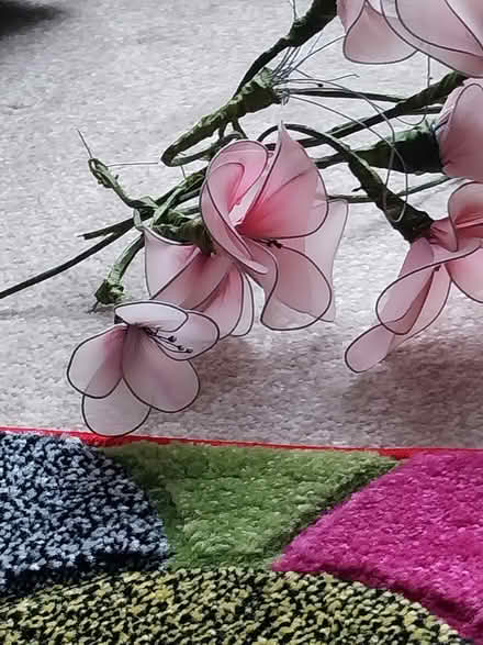 Photo of free Silk flowers (Trewoon) #1