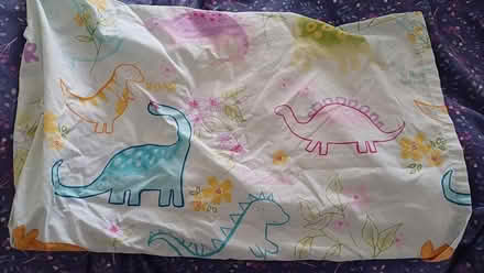 Photo of free Kids duvet cover and pillow case (Bearwood B67) #2