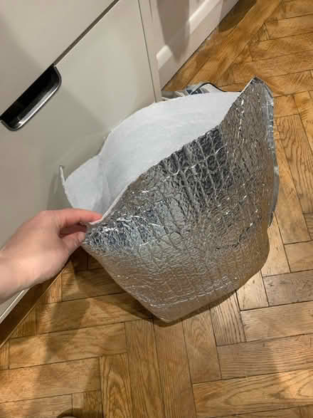 Photo of free Large cool bag (Honor Oak) #1