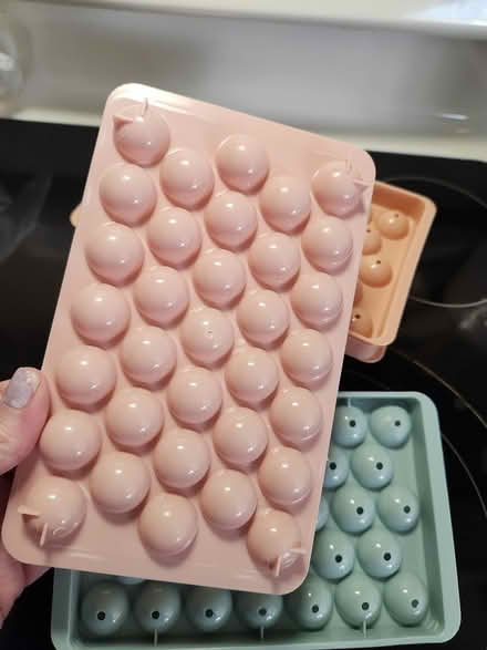 Photo of free Round ice cube trays (Allen Park) #1