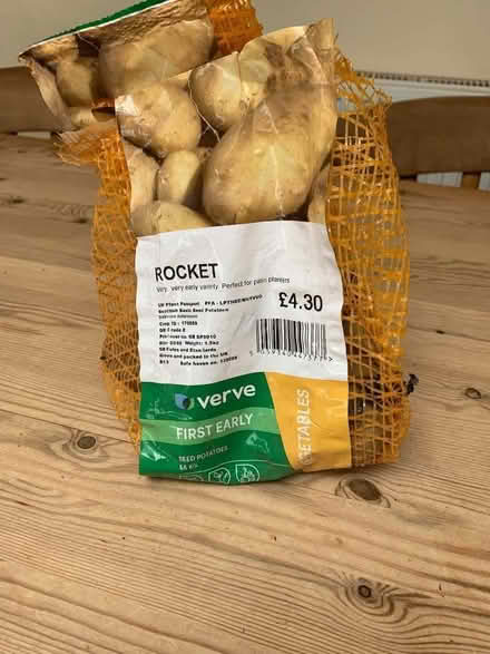 Photo of free Seed potatoes (Sayers Common BN6) #1