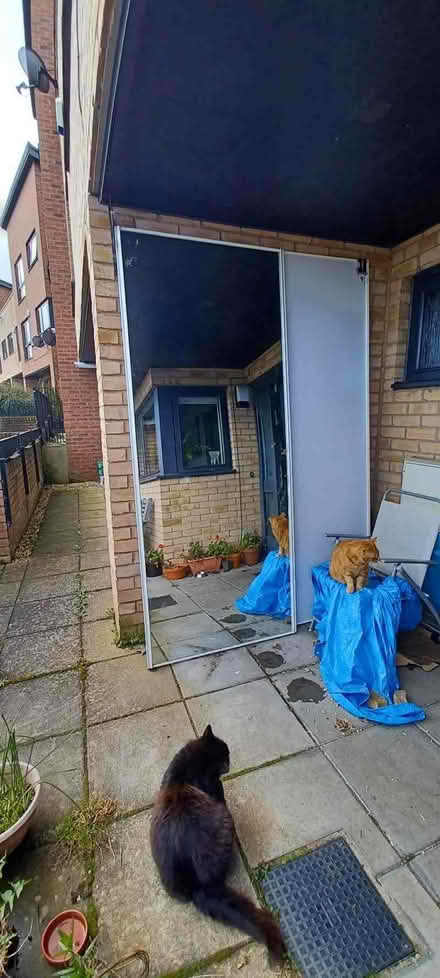 Photo of free Mirrored sliding wardrobe doors (Normanton Springs S12) #3