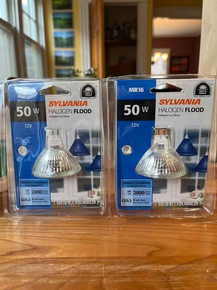 Photo of free 50W 12V halogen flood lights (Central Square, Cambridge) #1