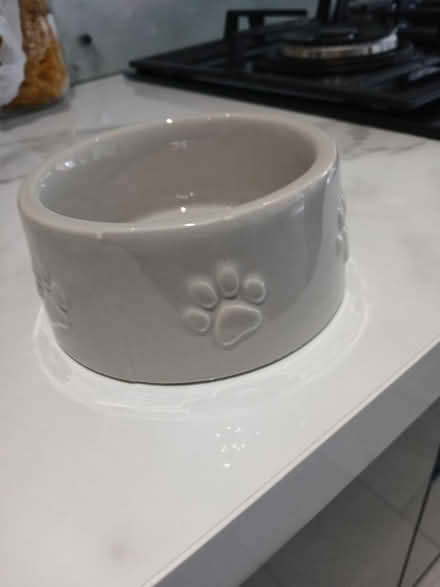 Photo of free Small dog bowl (Long Eaton NG10) #1