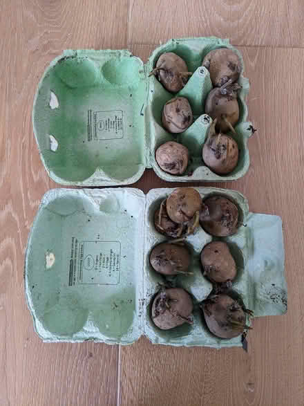 Photo of free Potatoes (Glenageary) #1