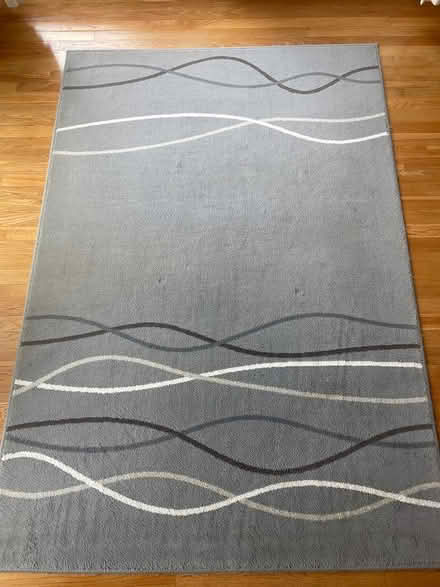 Photo of free 4.5x6” Carpet see picture (Hastings on Hudson) #1