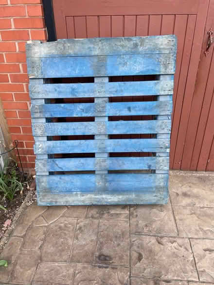Photo of free Blue Pallet (Holmcroft ST16) #1