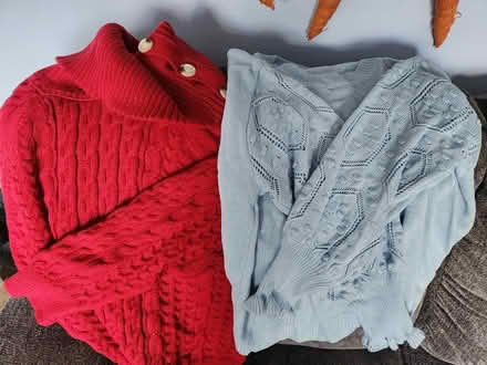 Photo of free Womens plus size 1X/2X sweaters (Allen Park) #1