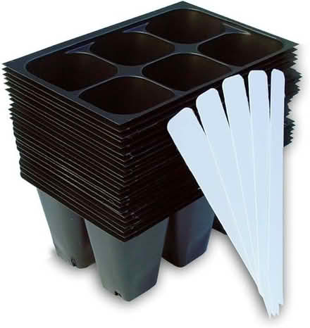 Photo of Seedling Trays (Laurel) #1