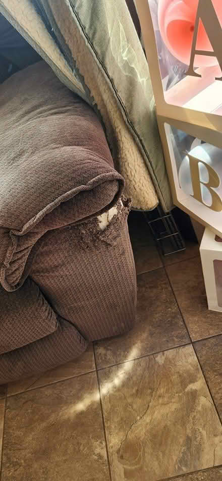 Photo of free comfy chair (neshanic) #2