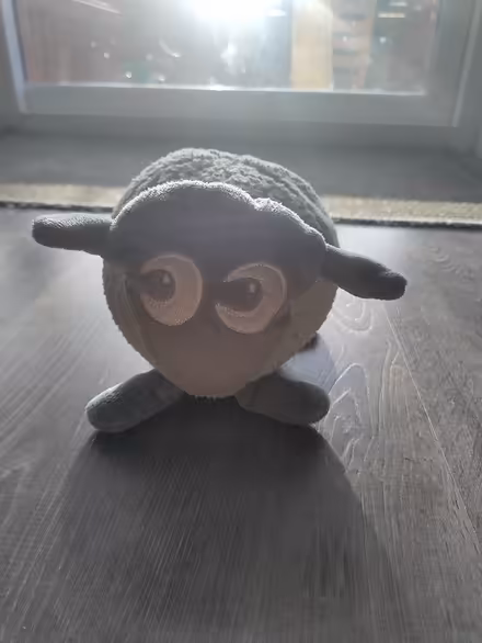 Photo of free Ewan The Dream Sheep (South Queensferry EH30) #1
