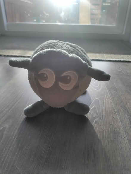 Photo of free Ewan The Dream Sheep (South Queensferry EH30) #1