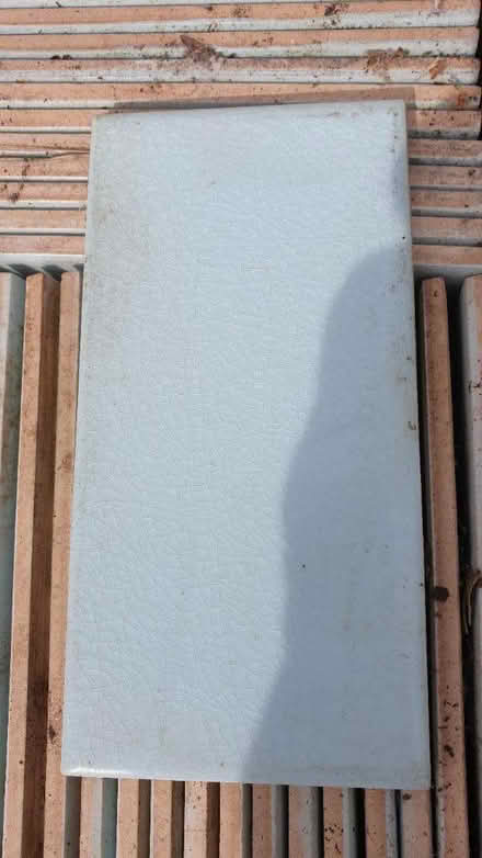 Photo of free Tiles ceramic (TW3 Hounslow) #1