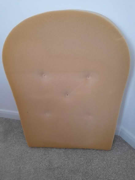 Photo of free Foam pieces x 2 (Sapcote LE9) #1