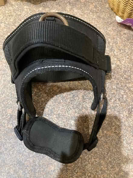 Photo of free Medium Dog Harness (Hamworthy BH15) #2