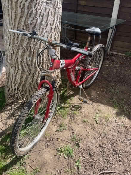 Photo of free Push bike (Broadwater SG2) #2