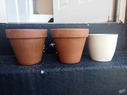 Photo of free plant pots (Bilton HG1) #1