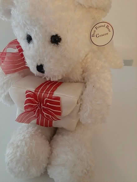 Photo of free Angel Bear with Bowed gift box (Farmington Hills) #1