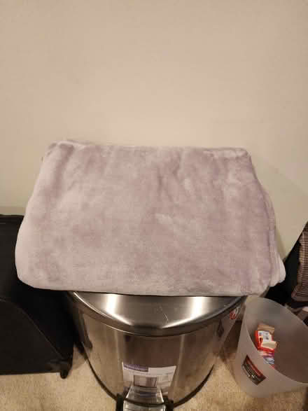 Photo of free Throw blanket, bath mat, handtowels (Upper Marlboro) #1