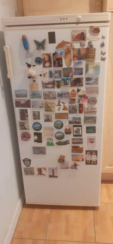 Photo of free Freezer (Teddington TW11) #1