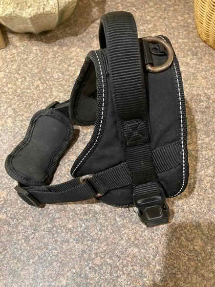 Photo of free Medium Dog Harness (Hamworthy BH15) #1