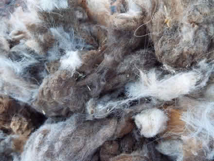 Photo of Fleece (Ulverston) #1