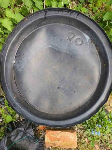 Photo of free Very large Mixing tray /Tuff tray (BR6, Green Street Green) #2
