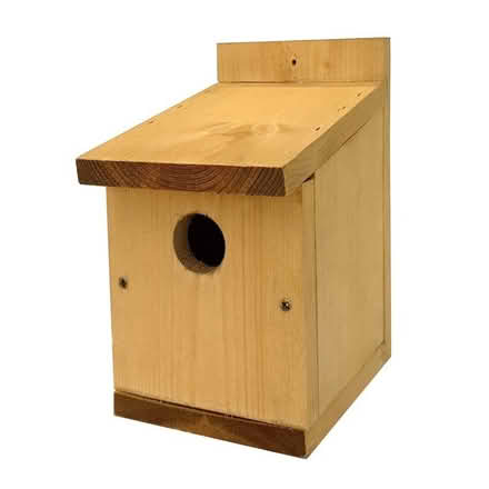Photo of Bird Box or Boxes any size or shape (Emscote CV34) #1