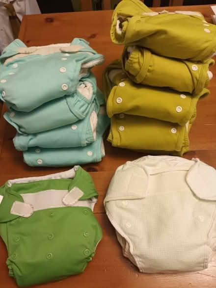 Photo of free Re-usable nappies (Sandy SG19) #1