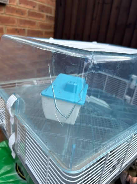 Photo of free Hamster cage (Hatfield) #2