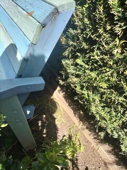 Photo of free Wooden bench (TN37 Hastings) #3