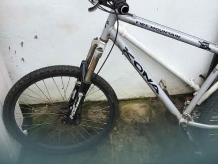Photo of free Bike (Canton CF5) #2