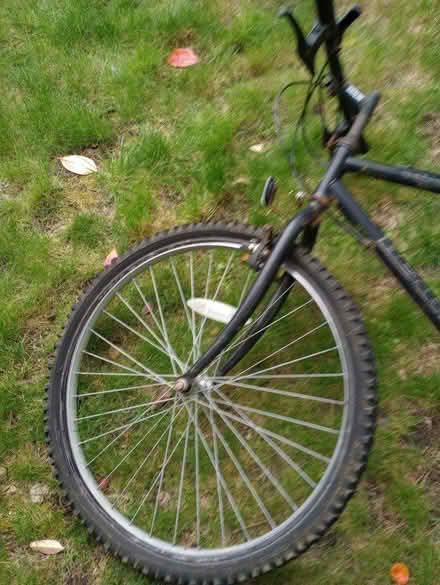 Photo of free Adult bike (Caversham Heights RG4) #3