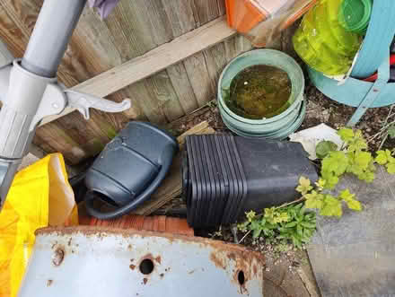 Photo of free Various gardening items (DA16) #3